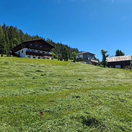 Tobias 2 By Interhome * Radstadt